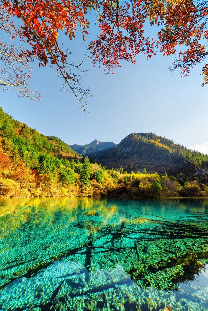 一个人说走就走旅行清单,一个人的旅行清单不用等最爱的人