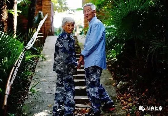 近年来十大感动中国人物颁奖词,2015-2019十大感动中国人物颁奖词