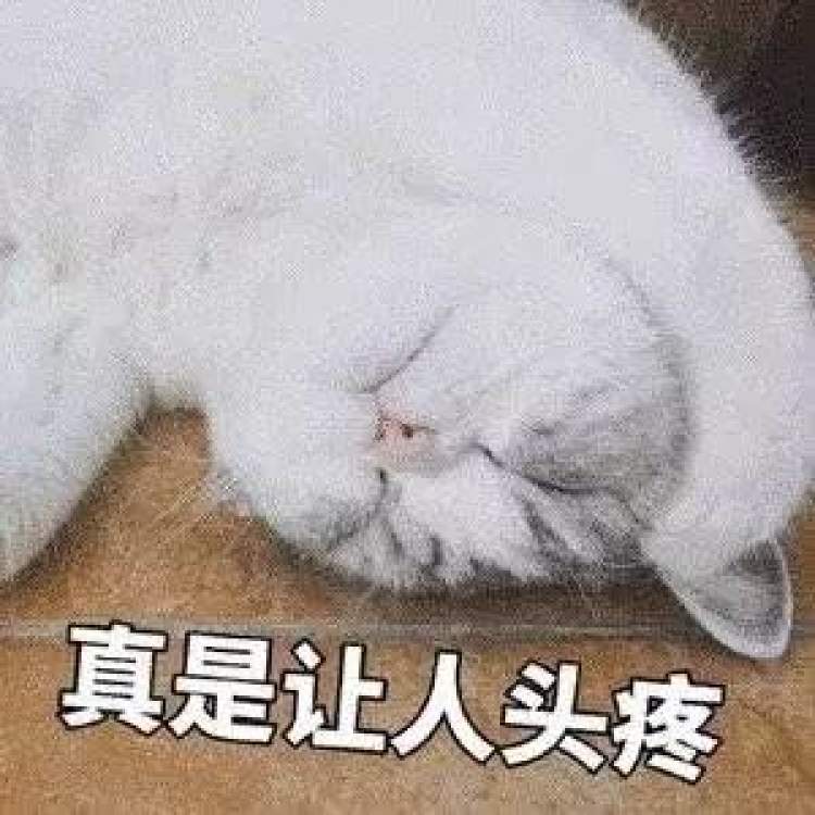 梅雨季开启居家除霉妙招请收好,阴雨天怎么除湿除霉
