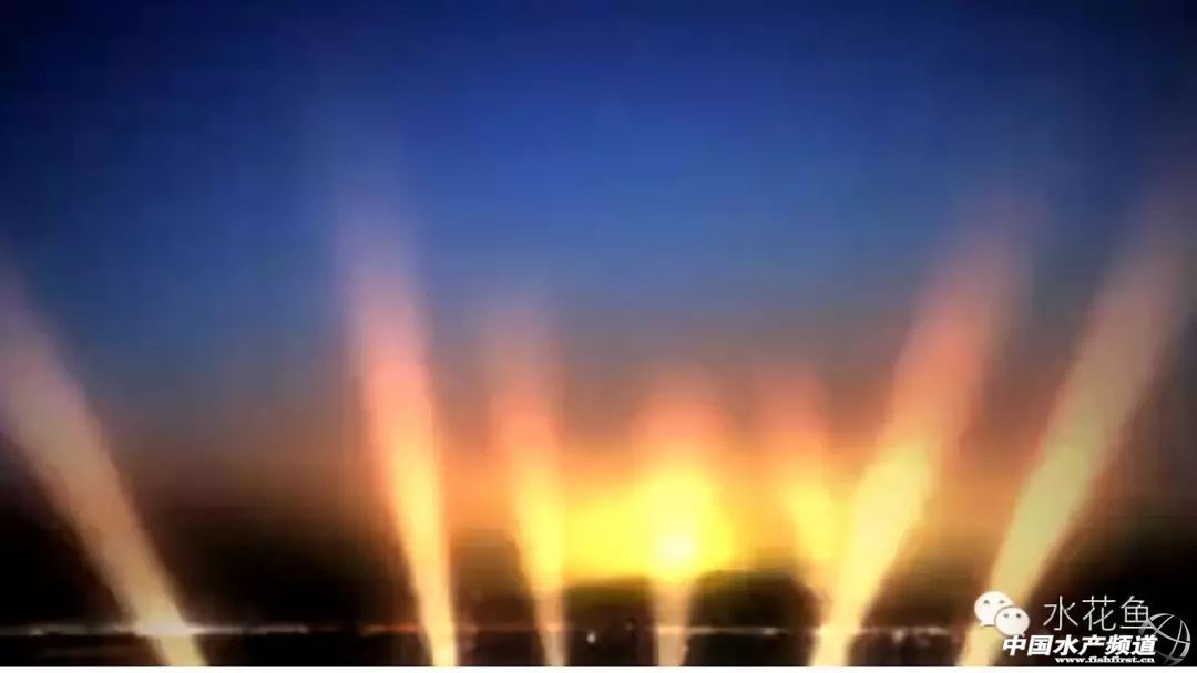 用灯光养树能够吗,用灯光能够养植物吗