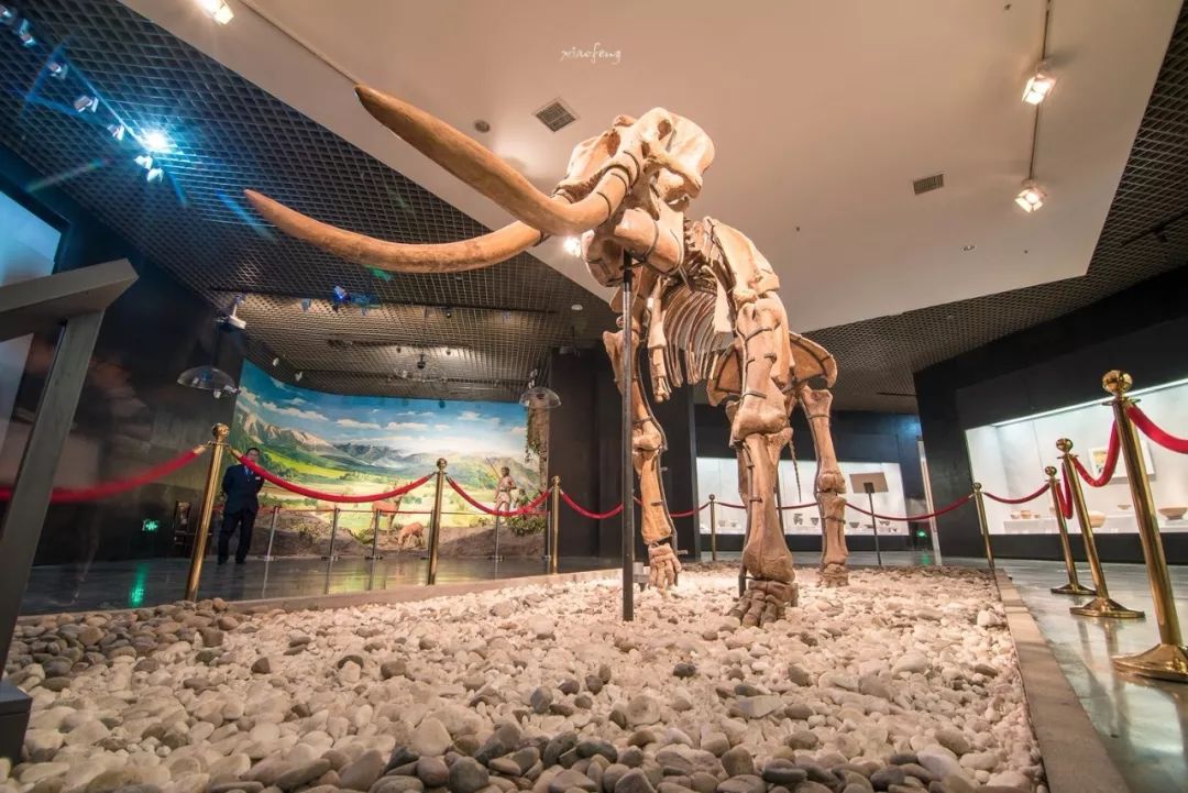 深度揭秘！洛阳人的家门口竟然藏着这么多宝藏！还有5大稀世珍品！没去过太惋惜了！