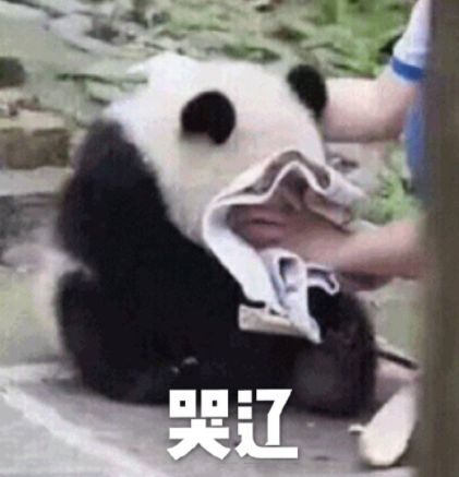 帮人代写作业，13岁女孩月入过万！却因这个原因，遭“举报”了……