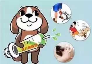 被狗咬了不能及时去医院怎么办,被狗咬了去哪个医院打针