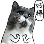 五一出行“邮”你所想｜确认过价格，这是我想上的那艘船！换个方式去香港，全家乐“邮”