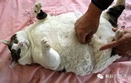 大姨妈总是不准是为什么,大姨妈不准时是什么原因造成的