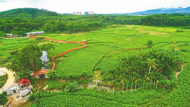 琼中健康扶贫,琼中县生态文明建设