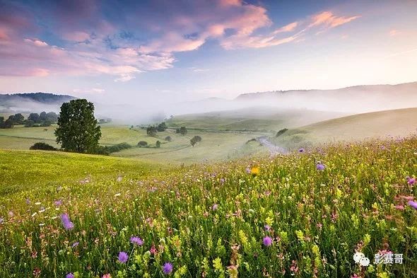 尼康肖像摄影大赛获奖作品欣赏,2021尼康获奖摄影作品欣赏