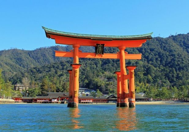 日本东京动物园一日游攻略,日本最值得去的小动物