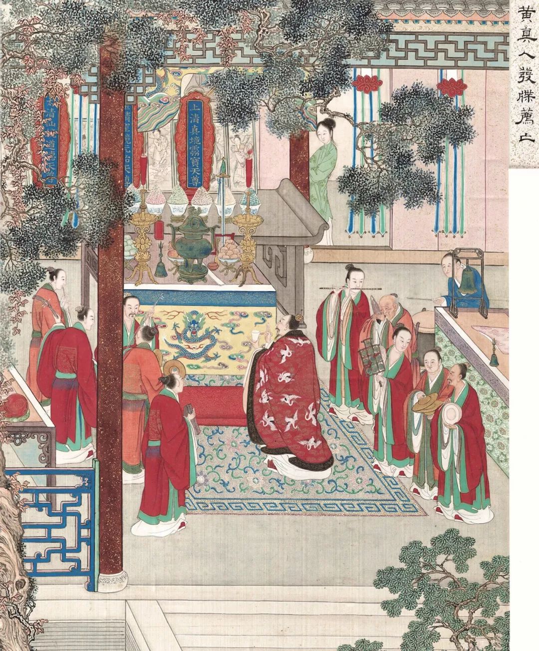 日本蝴蝶兰插画图片,红掌花花瓶插画