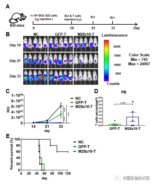 car-t治疗胃癌最新研究,广州生物科技公司癌症药