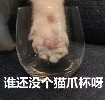 星巴克猫爪杯打架完全版,关于星巴克猫爪杯事件看法