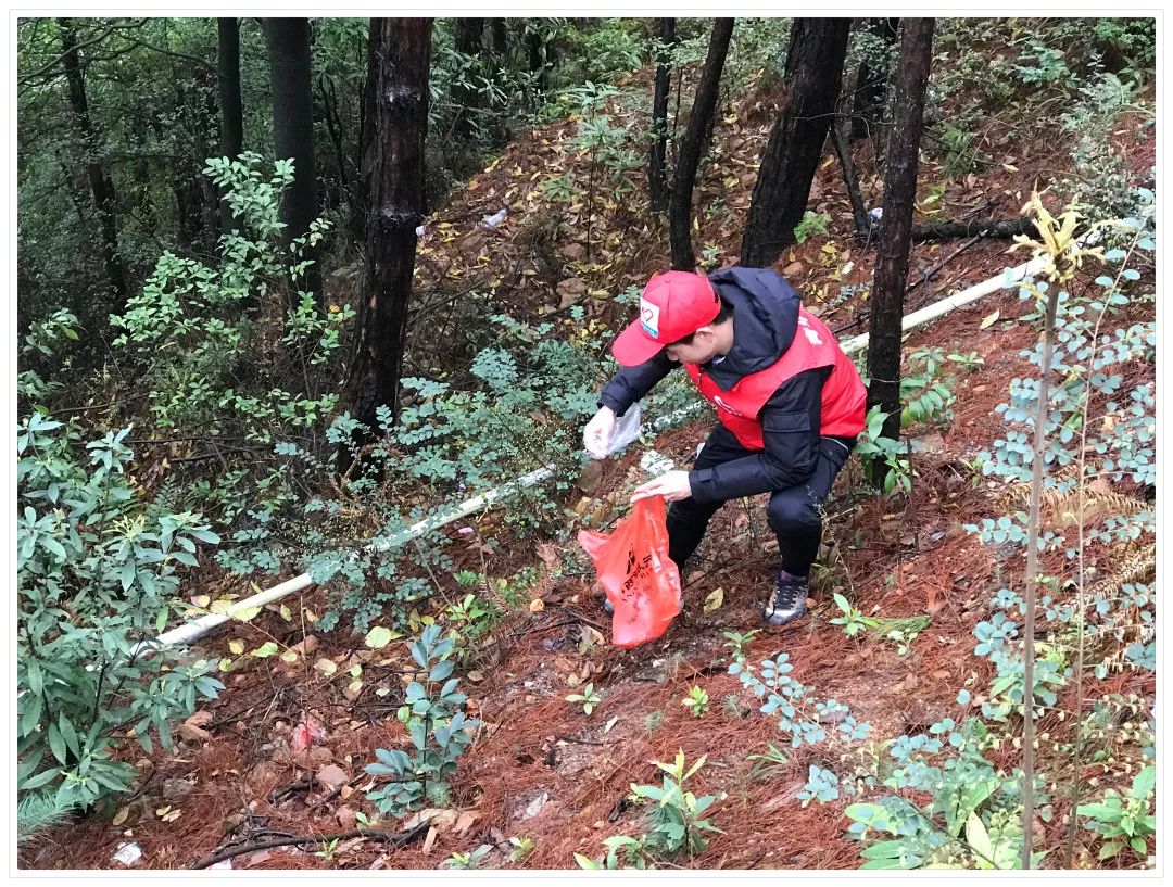 信丰阁风景区简介,信丰阁风景区