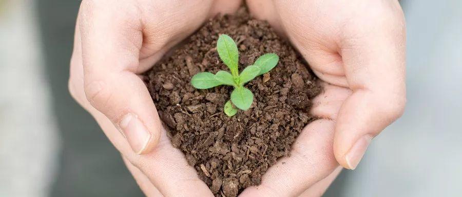 如何才能不沉迷于游戏摆脱网瘾呢,三招教网瘾少年不再沉迷游戏