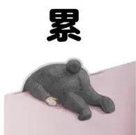 重名查询安徽系统入口,安徽省内重名查询网站