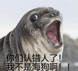 重名查询安徽系统入口,安徽省内重名查询网站