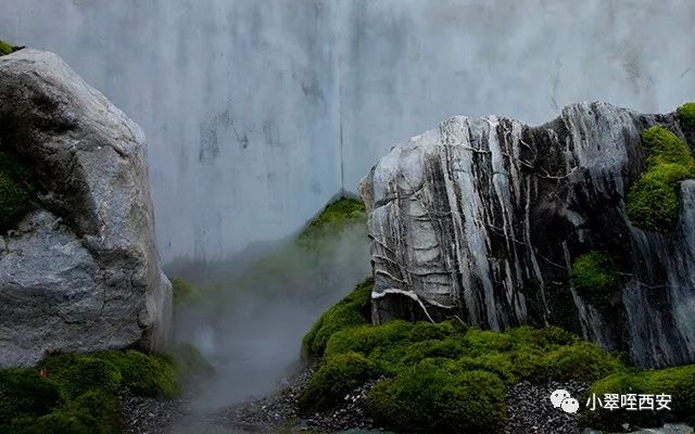 初春的西影厂，是那棵法国梧桐树下的日料店