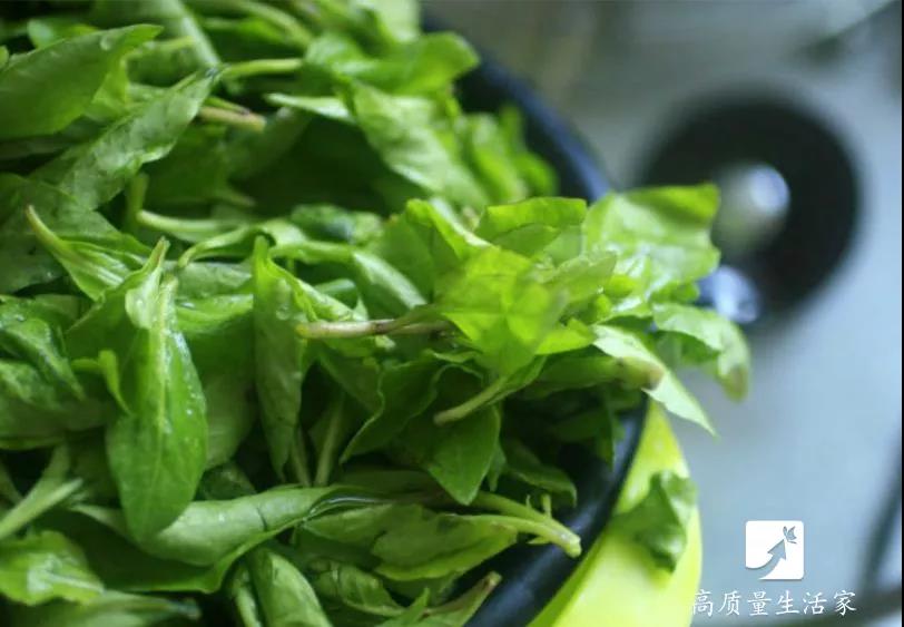 春天里要吃的四大黄金野菜,春天不可辜负的六种野菜