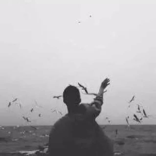 喝茶的人为啥要去品茶啊,喝茶的人为什么要买好多器具