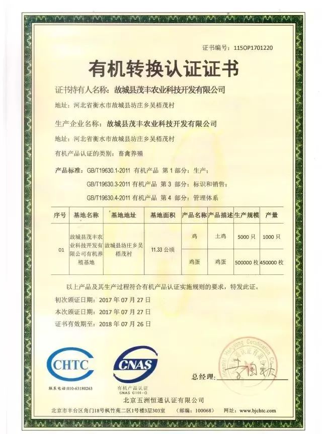 捡鸡蛋吃生鸡蛋,捡鸡蛋给爷爷奶奶吃