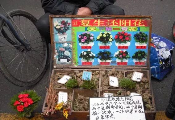 3·15消费者维权日又到了，你在花草上挨过“坑”吗？