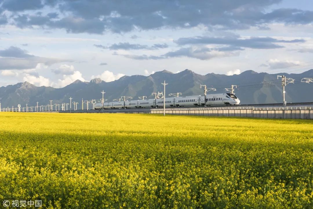 交通出行小宝典,小长假专线旅游线路推荐