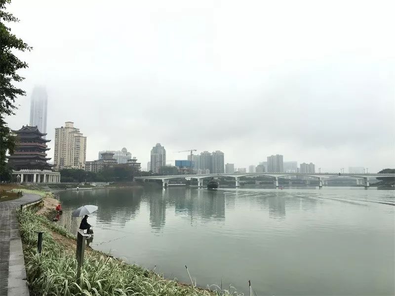 80岁老人买14万保健品去世,老人花了7400元买磁石