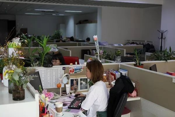 央企大平台，有梦你就来！