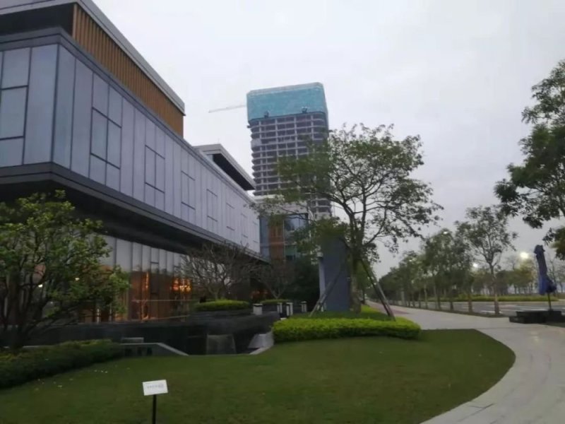 广州南沙，买了能不能财务自由躺赢成高端玩家？
