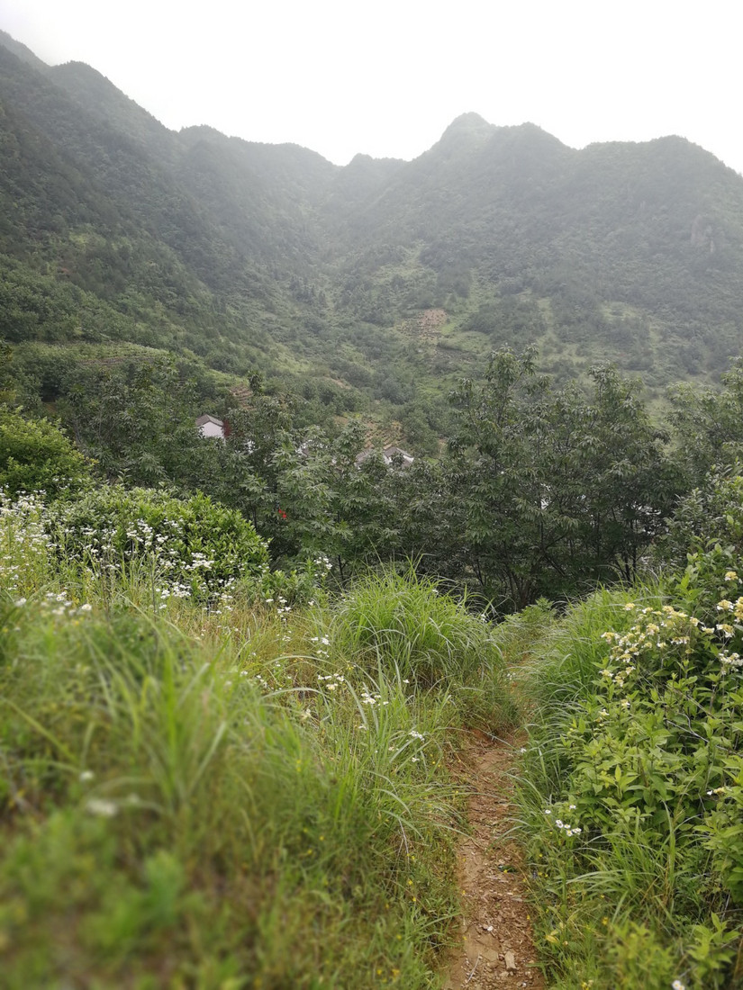 搁船尖登顶难度,搁船尖天目山光明顶