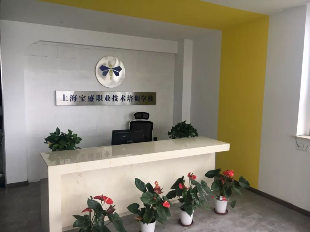 职业技能培训哪家强？宝山这几家*级A**培训机构了解一下！