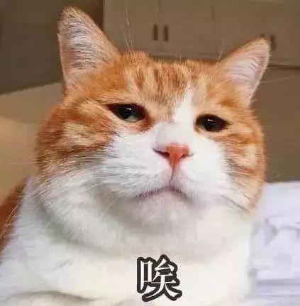 妯辨妗冩潖鏉庢ⅷ杈ㄨ鏂规硶,姊呮潕妗冩潖妯辫姳鎬庝箞鍖哄垎