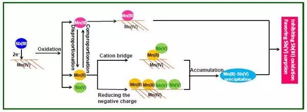 研究揭示锑在铁锰氧化物表面氧化吸附分子机理