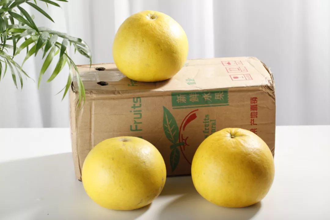 新鲜多汁的柚子又酸又甜,春天唯一的应季鲜柚