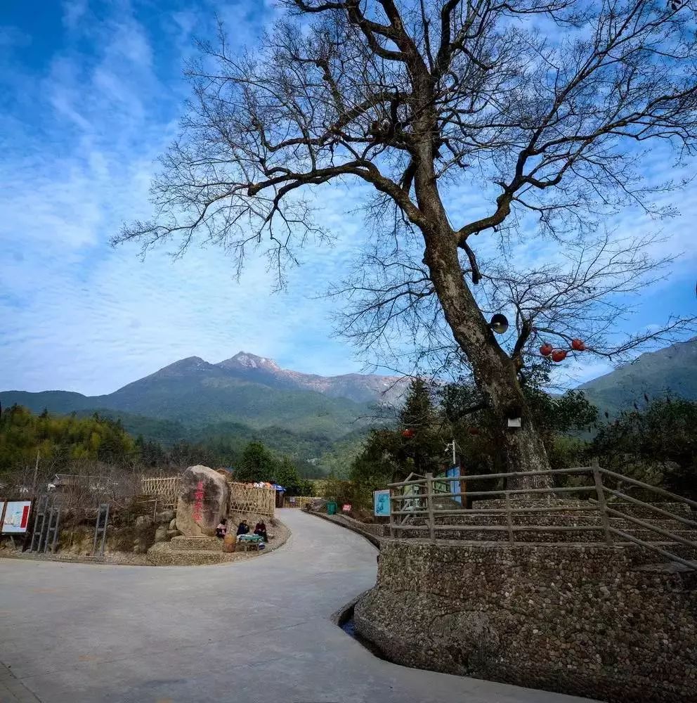 【美文欣赏】武平~我想给你写封信