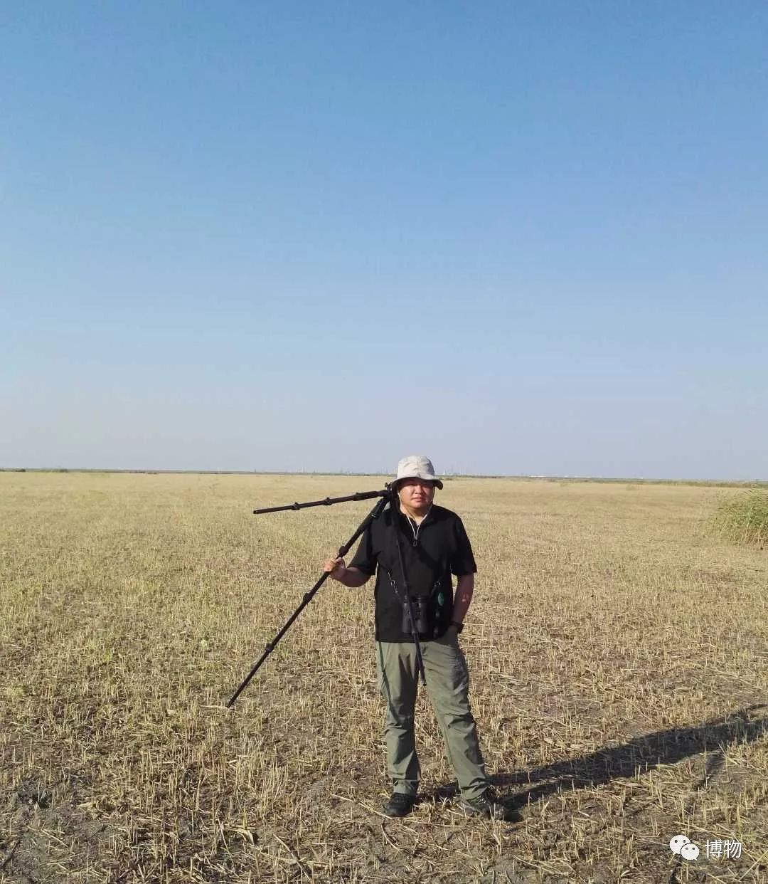 啥是猛禽啊,很大个的猛禽