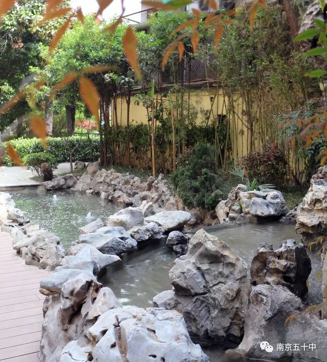 在市中心的学校,花园式学校值得孩子们拥有