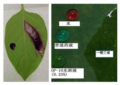 山东众得丰农化助力作物增产增收,节水灌溉增产增收利国利民