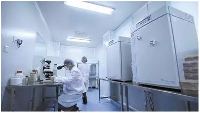 远离尴尬！日本超火爆天然止汗消臭石，小红书2000多人种草！