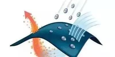 为什么全世界女明星都在穿这件白T？永不发黄，显瘦十斤，国际一线大牌*用御**工厂出品的白T，谁见谁动心！