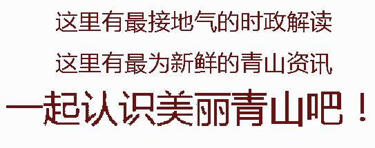 青山教育再添光彩！四十九中席婧娟在全国班级文化论坛获特等奖