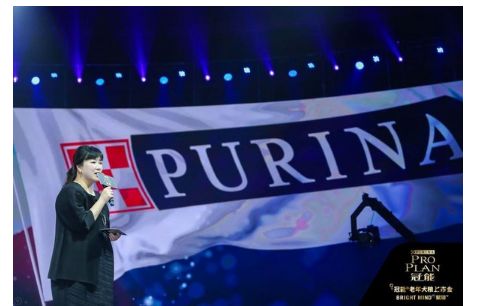 如何防止狗狗患上老年痴呆,什么狗狗竟然也会得老年痴呆