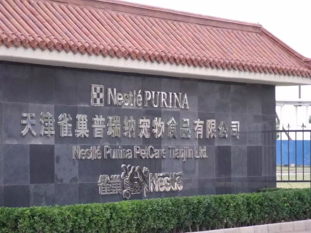 如何防止狗狗患上老年痴呆,什么狗狗竟然也会得老年痴呆