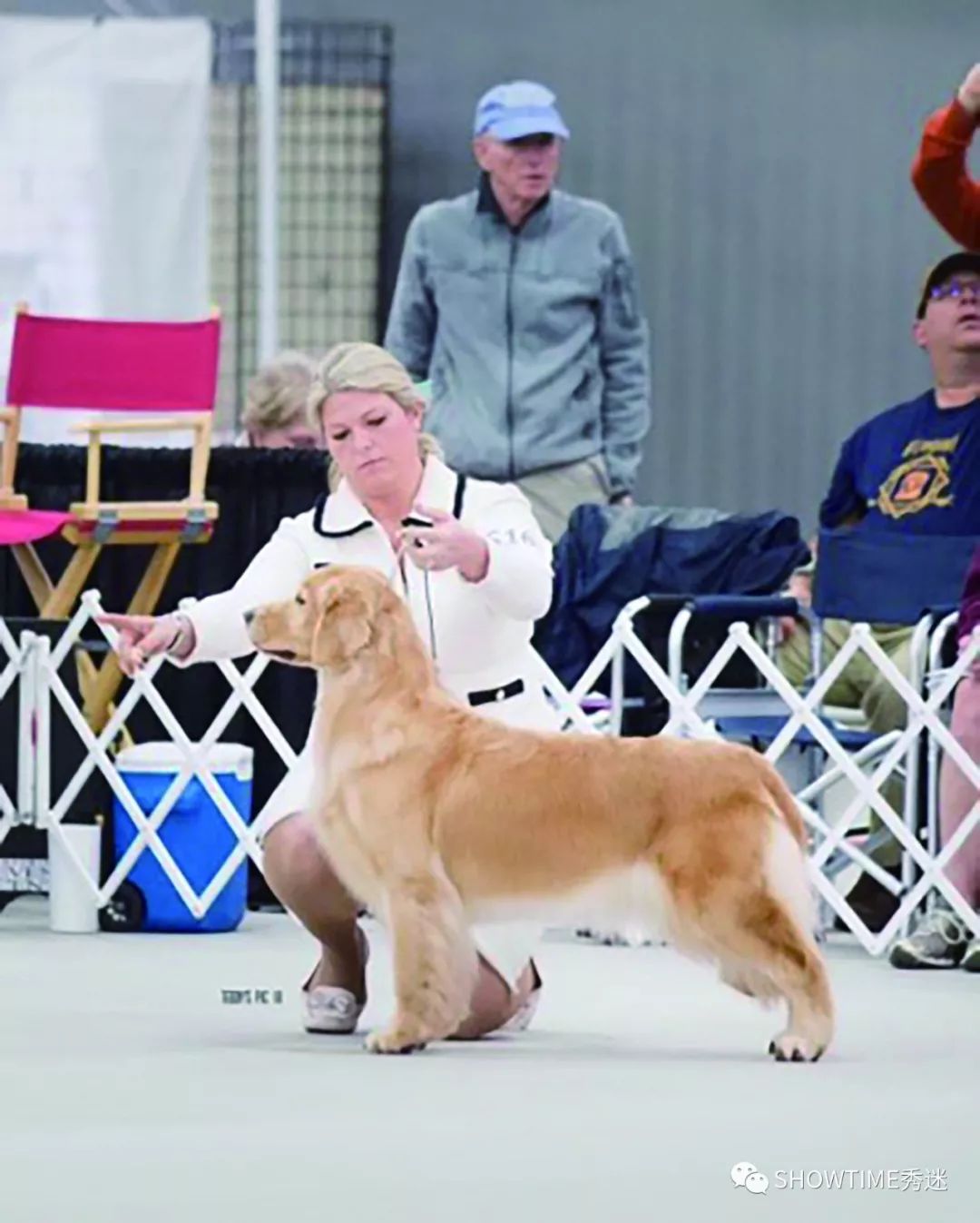 Elyn：非常安静内向的……野姑娘。|犬学知识专业版封面故事