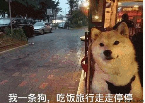 特价机票能退吗两张,特价机票能退吗手续费多少