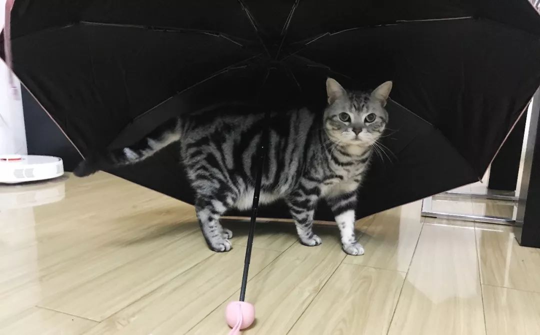 618美白抗氧化,618美白淡斑指南