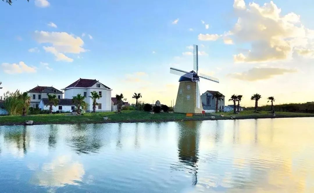 吵翻了！魔都16区终于正面PK！哪个是你心中的C位担当？