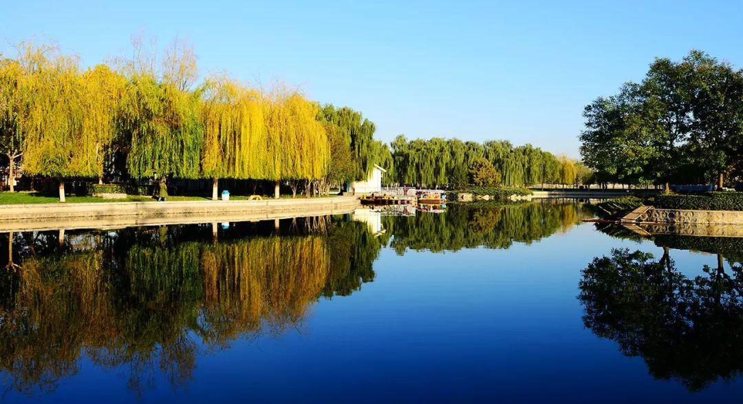 剁手｜10块钱在上海能干些什么？这些可能大家都想不到！