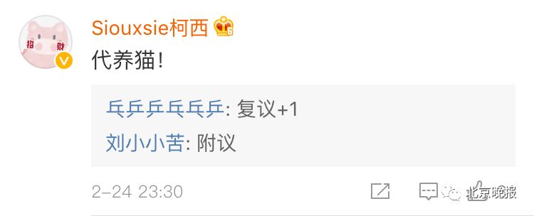 代吃零食代喝奶茶,专业奶茶代喝炸鸡代吃