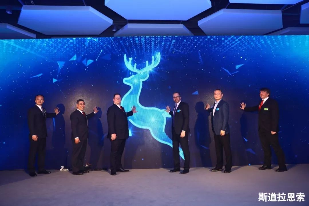 斯道拉恩索“北海制造”新品北极鹿™在上海隆重亮相
