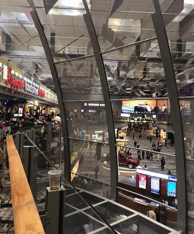 我和老王的房车旅行,马尔代夫之旅蜜月